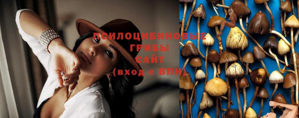 стаф Арсеньев