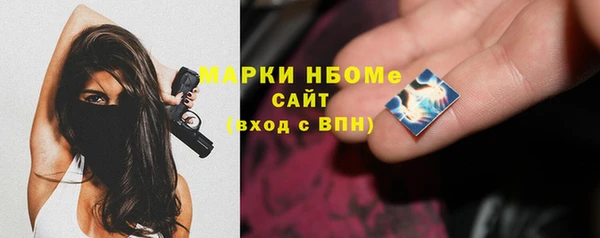 стаф Арсеньев
