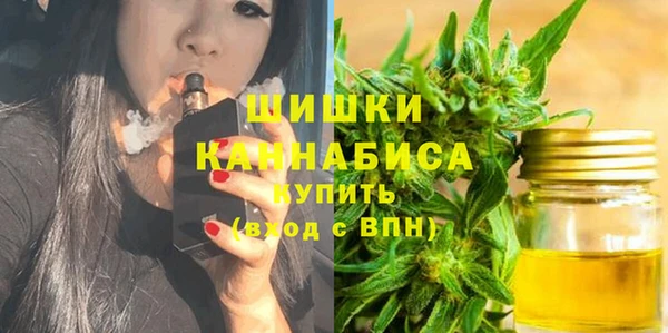 стаф Арсеньев