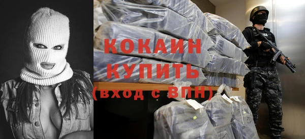 стаф Арсеньев