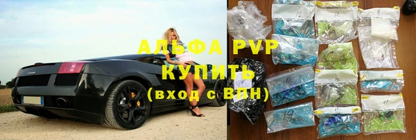 стаф Арсеньев